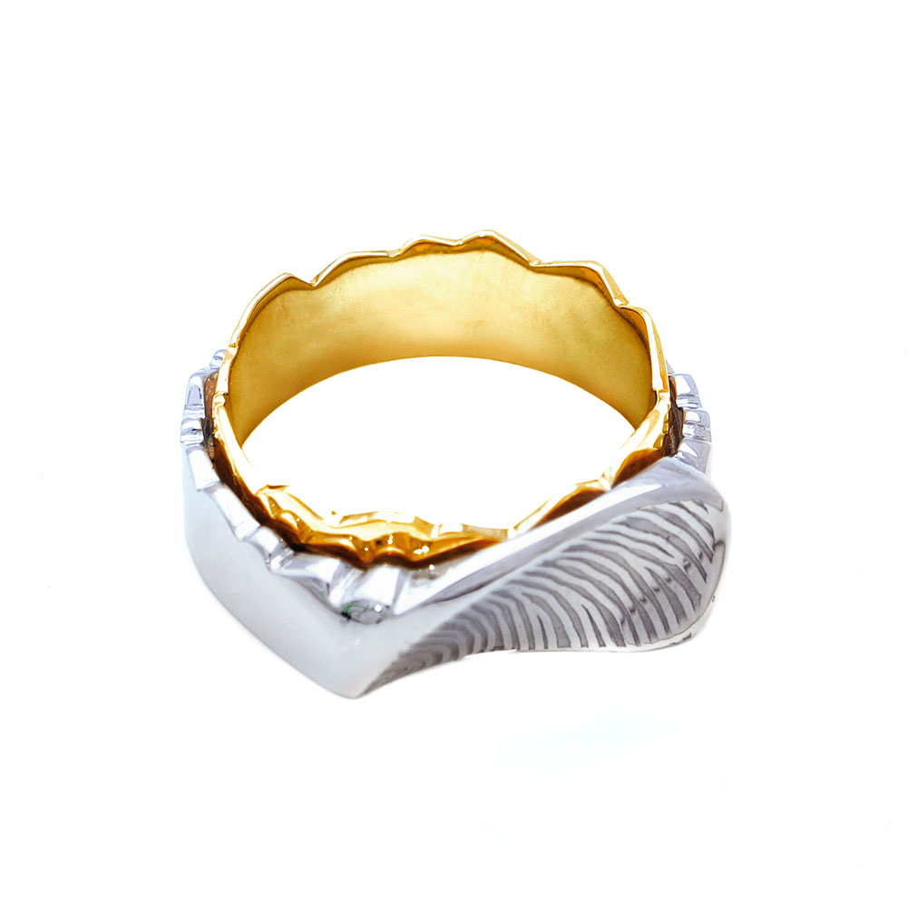 Twee ringen in elkaar