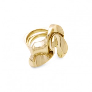 samensmelting 2 ringen