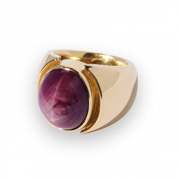 ring-sterrobijn